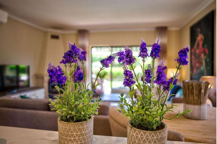 2Bedroom Bungalow Heated Shared Pool ,Near Carvoeiro And Ferrugudo 외부 사진